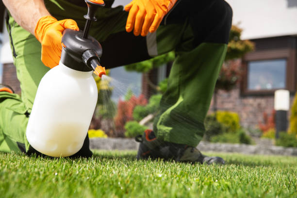 Reliable Energy, IL Pest Control Solutions