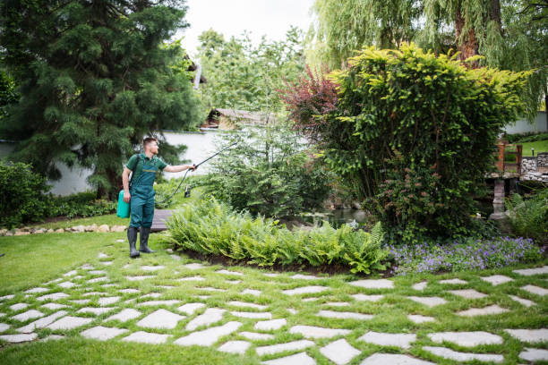 Best Best Pest Control Companies  in Energy, IL