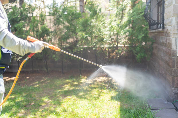 Best Affordable Pest Control Services  in Energy, IL