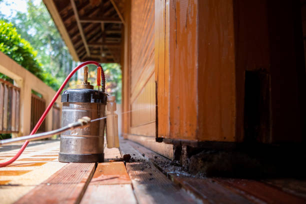 Best Affordable Pest Control Services  in Energy, IL